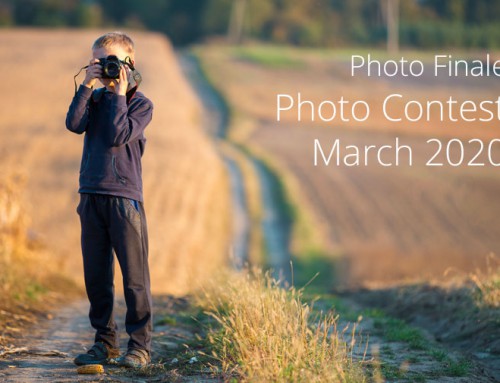 Photo Contest, March 2020